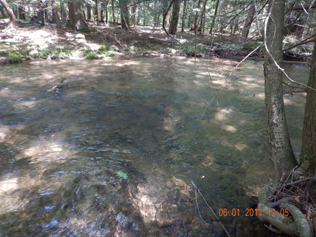 DSCN2109.jpg -                                The faster water made getting a drag free drift a bit difficult but I refused to go to nymphs.  It is, by the way, dry fly season.