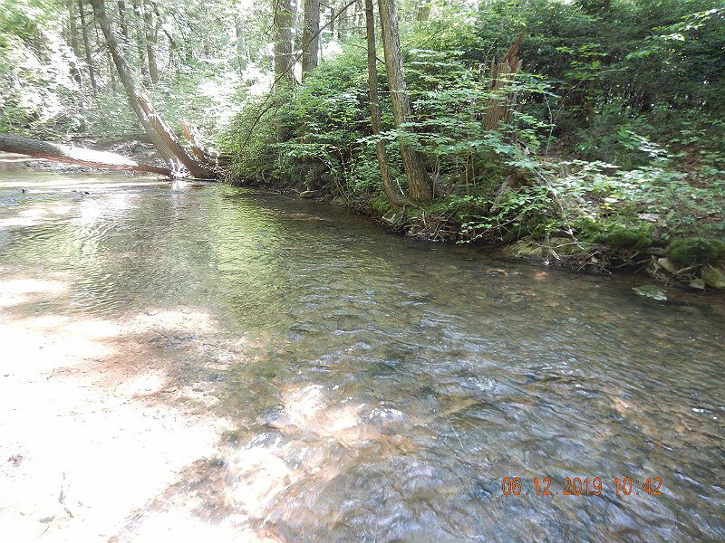 $LaurelRun3008$.jpg - That fish was hiding against the bank on the far side of the stream.