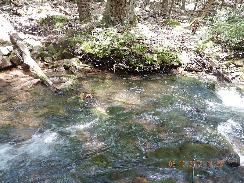 $LaurelRun3019$.jpg - The water was down but still cool.  A little rain wouldn't hurt.  (Did I really type that???  We've had so much water this spring)