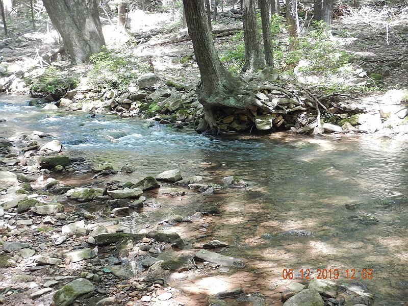 $LaurelRun3020$.jpg - Yup, right under the root of that tree....