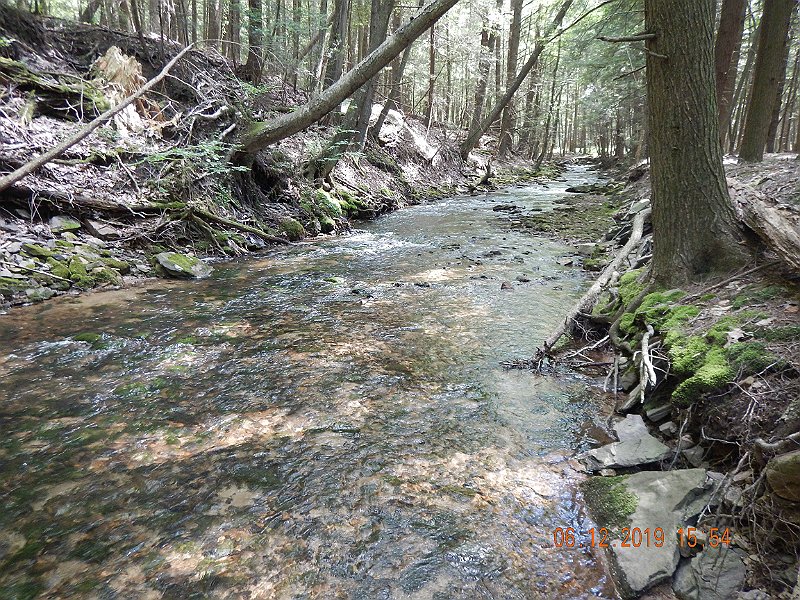 $LaurelRun3035$.jpg - What a pretty stream.  Just being here is a reward.