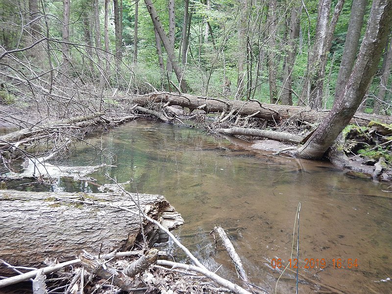$LaurelRun3042$.jpg - That last fish was right in this slower water.  Were there more fish there?  I'll have to find out next time!