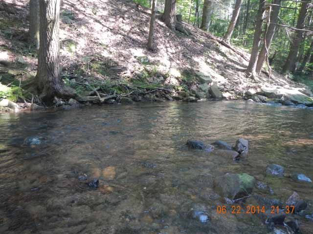 DSCN1093.jpg -                                He came out of this shallow run.