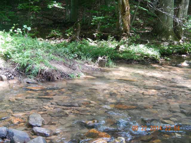 DSCN1101.jpg -                                From here!
