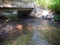 DSCN0130