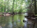 DSCN0141