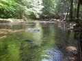 DSCN0146