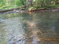 DSCN1091