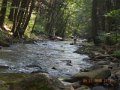 DSCN1094
