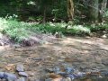 DSCN1101
