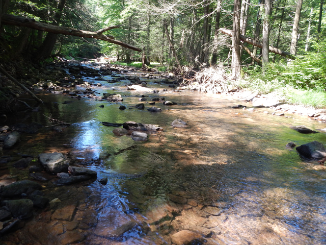 DSCN0310.jpg -                                Stream was lower than expected and the water temp was 64 degrees.
