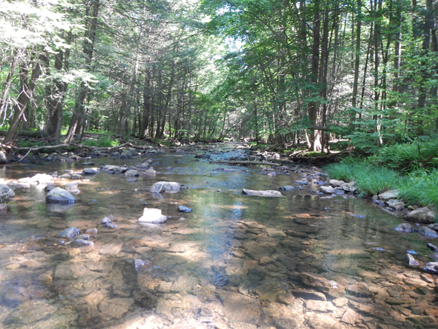 DSCN0311.jpg -                                Still, a very pretty stream.