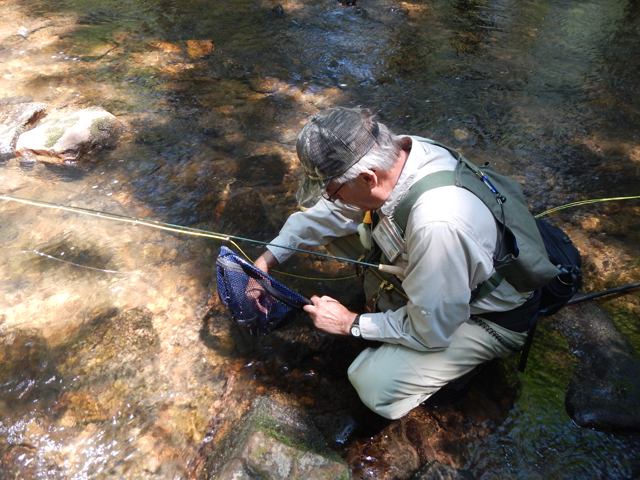 DSCN0313.jpg -                                And, as with all our wild trout, this one gets turned back to the stream.