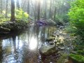 DSC01756