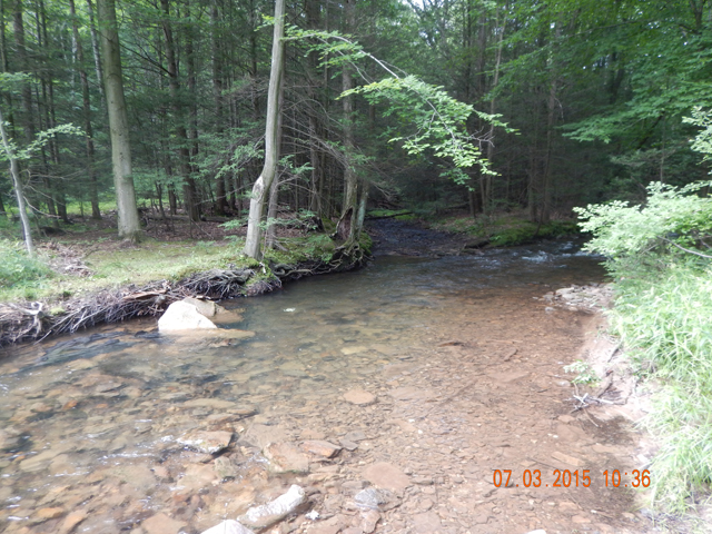 DSCN0489.jpg -                                That fish came from this run.