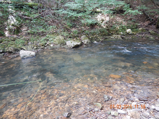 DSCN0501.jpg -                                Here is where that little fish came from.