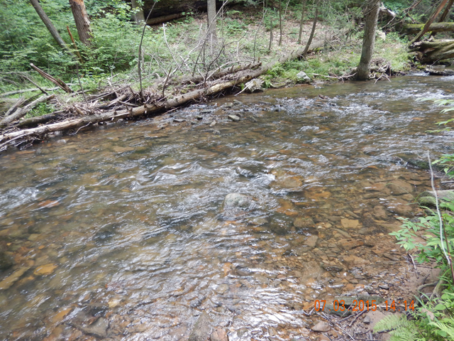 DSCN0518.jpg -                                Here is where he was caught.