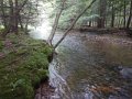 DSCN0493