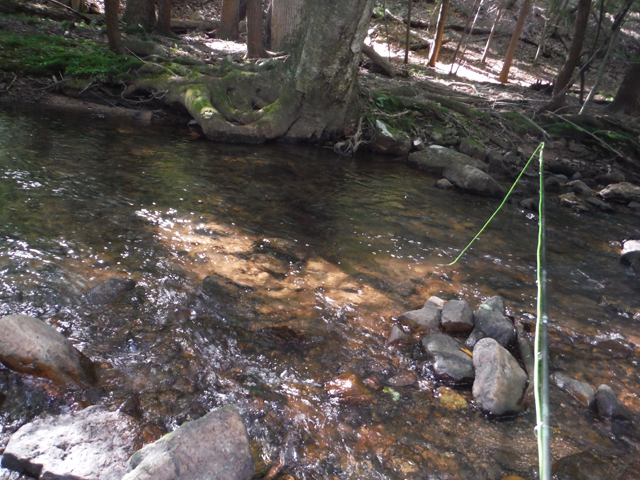 DSCF9017.jpg - And here is where he came from.  Looks like a fishy spot.