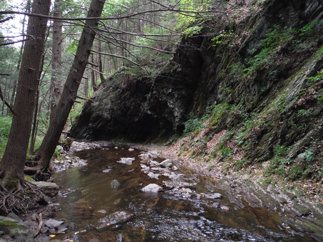 DSCF9027.jpg