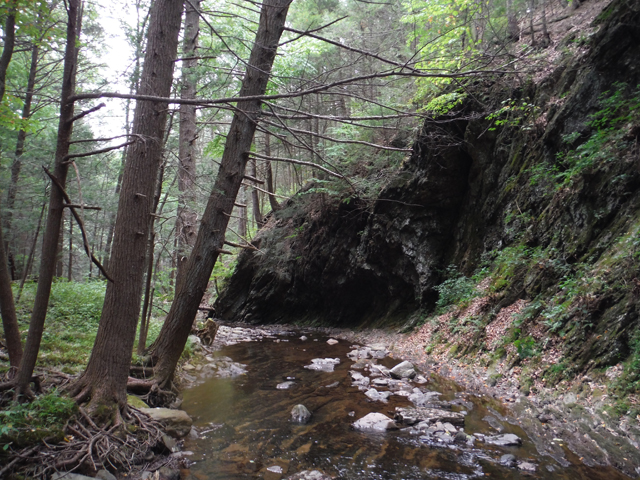 DSCF9028.jpg