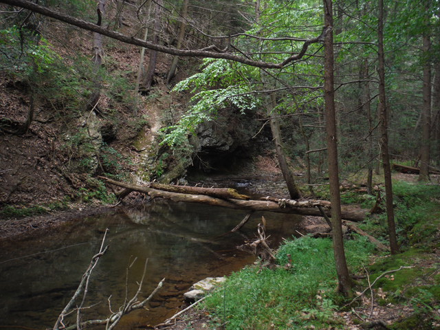 DSCF9029.jpg