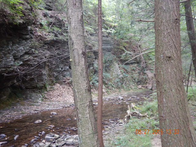 DSCN0609.jpg -                                