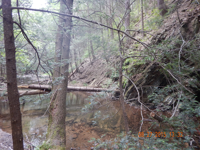 DSCN0610.jpg -                                