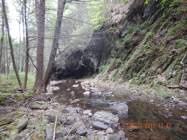 DSCN0611.jpg -                                