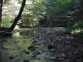 DSCF9018