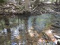 DSCN0606