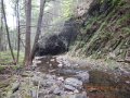 DSCN0611