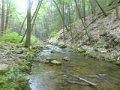 DSC01740