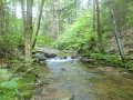 DSC01747