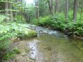 DSC01748