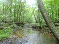 DSC01753