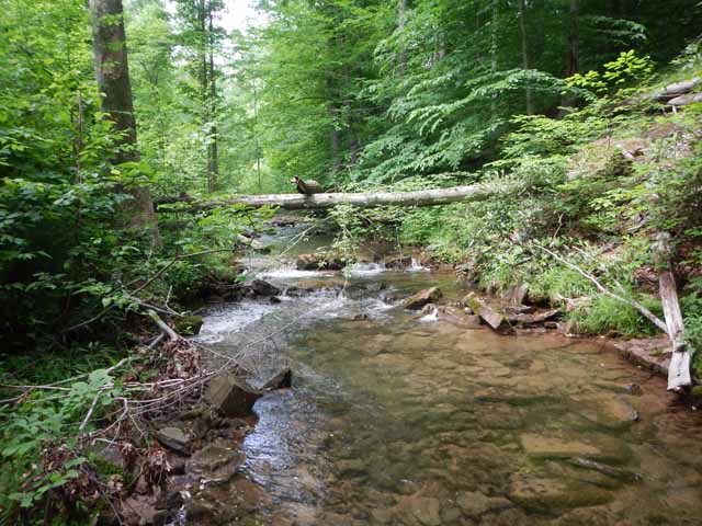DSCN0088.jpg -                                
