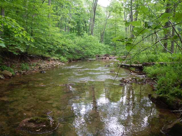 DSCN0091.jpg -                                