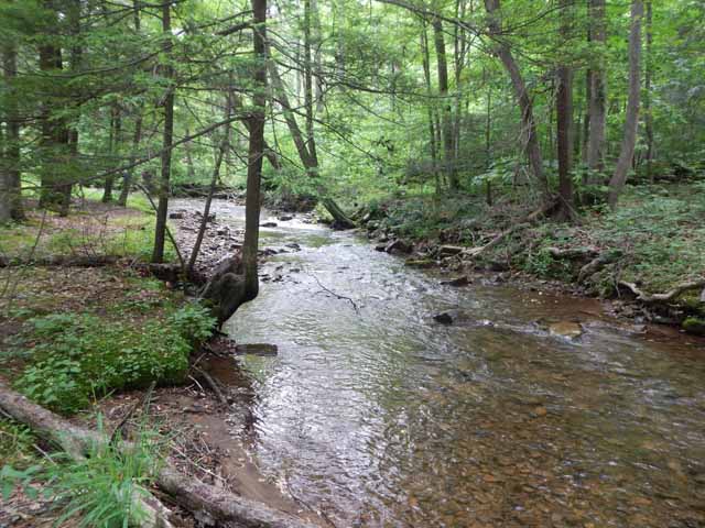 DSCN0096.jpg -                                