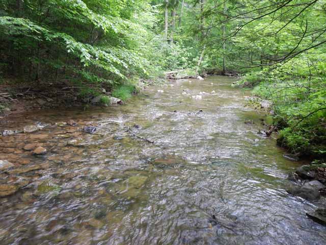 DSCN0104.jpg -                                