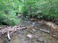 DSCN0067