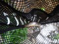 DSCN0071