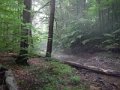 DSCN0077