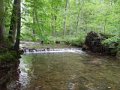 DSCN0083
