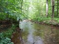 DSCN0085
