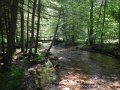 DSCN0094