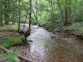 DSCN0096