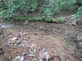 DSCN0101