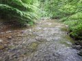 DSCN0104