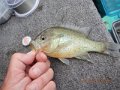 DSCN0125